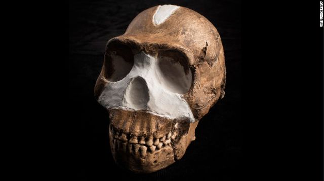 <p>У Південній Африці знайшли герметизировану печеру з похованням раніше невідомого виду людини. Фото: timeslive.co.za, National Geographic</p>