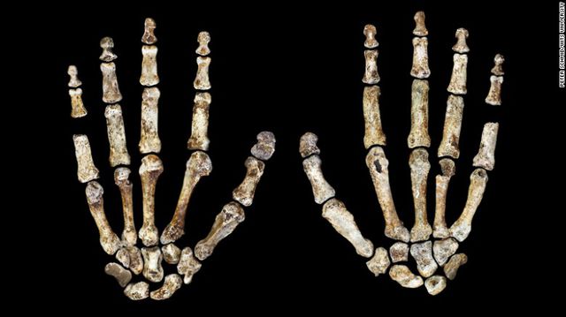 <p>У Південній Африці знайшли герметизировану печеру з похованням раніше невідомого виду людини. Фото: timeslive.co.za, National Geographic</p>