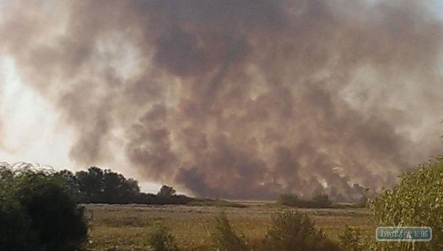 <p>У Білгород-Дністровському районі масштабна пожежа в плавнях. Фото: trassae95.com</p>