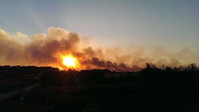 В Белгород-Днестровском районе масштабный пожар в плавнях. Фото: trassae95.com