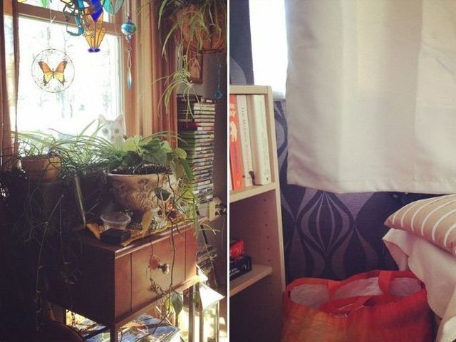 Коты любят прятаться. Фото: prikol.is