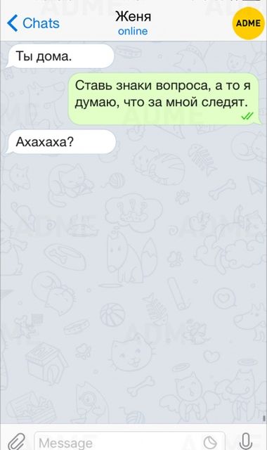<p>Іноді писати СМС – смішно. Фото: adme.ru</p>
