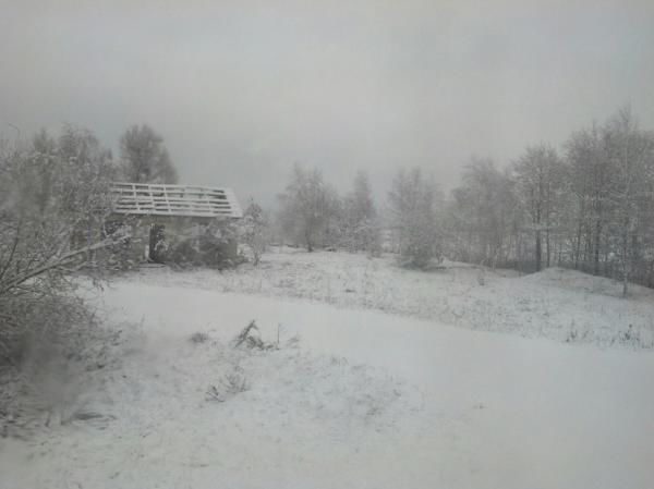 Первый снег. Фото: vk.com/tipove_rv