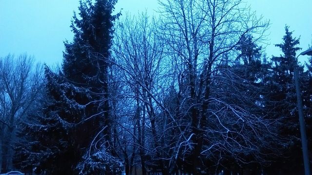 Первый снег: vk.com/odessacom, public.od.ua