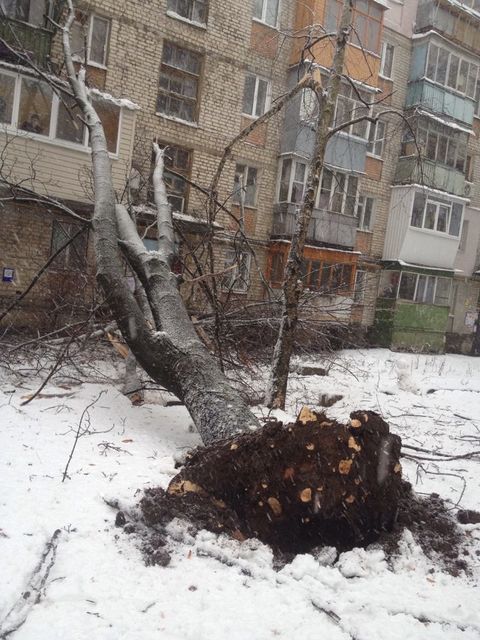 <p>Снігопад у Харкові. Фото: соцмережі</p>