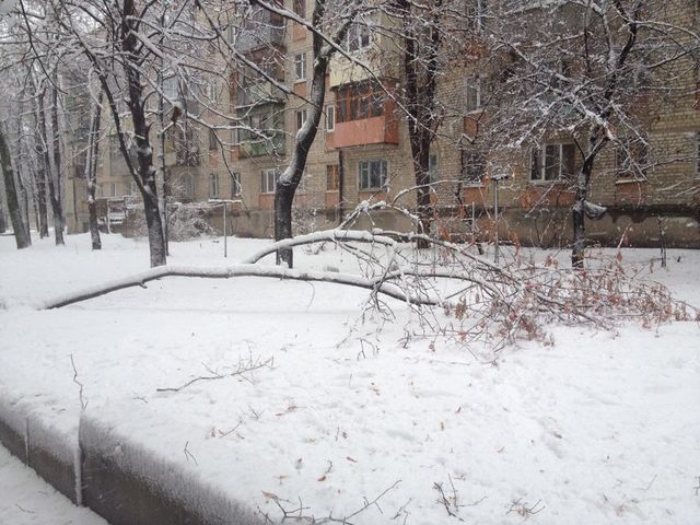 <p>Снігопад у Харкові. Фото: соцмережі</p>