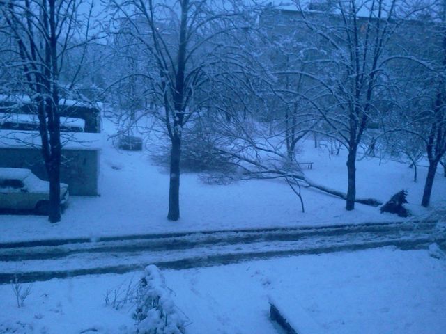 Снегопад в Харькове. Фото: соцсети