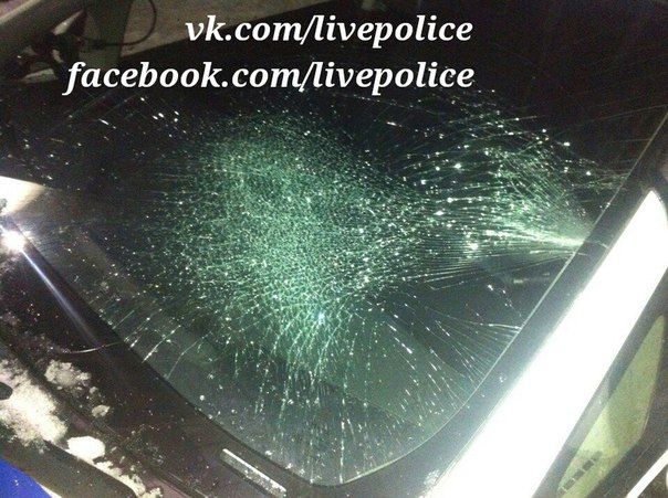 <p>Сніг впав на поліцейське авто. Фото: vk.com/livepolice</p>