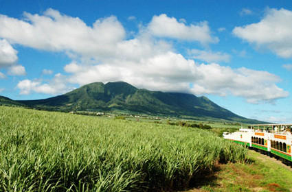 Маунт-Лиаумига. Фото с сайта forbestraveler.com