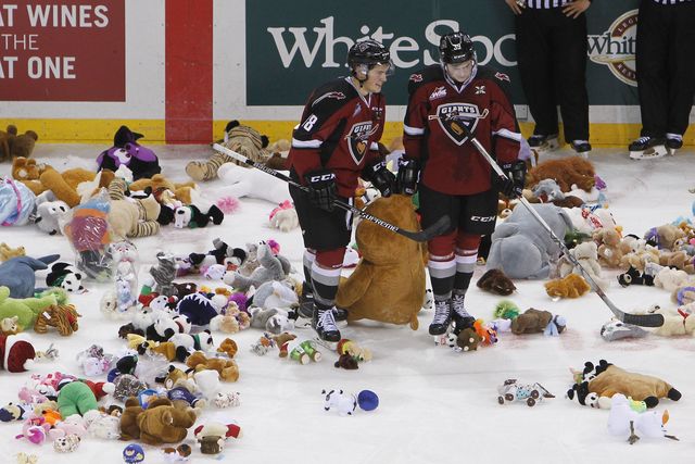 У Канаді вболівальники юніорського хокейного клубу Calgary Hitmen викинули на лід 28,815 плюшевих ведмедиків в рамках щорічної акції Petro-Canada Teddy Bear Toss. Фото: AFP