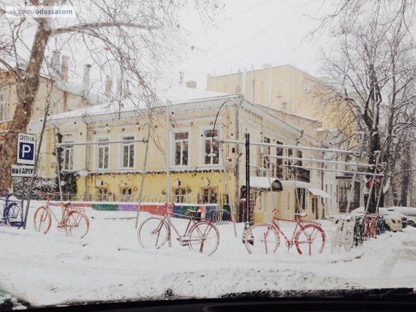 Снегопад в Одессе. Фото: unn.com.ua, uc.od.ua, odessa1.com, trassae95.com, соцсети