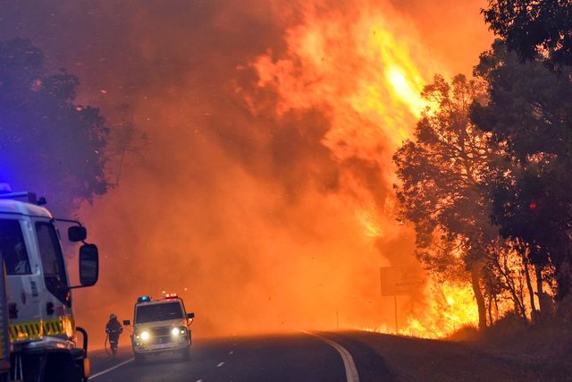 На заході Австралії вирують лісові пожежі. Через сильний вітру пожежникам не вдається зупинити поширення вогню. Полум'я знищило десятки тисяч гектарів лісу і 100 будинків. Людей, які були змушені покинути свої будинки, розміщують в школах і адміністративних будівлях. З вогнем борються кілька десятків літаків і вертольотів. Нинішні лісові пожежі можуть стати наймасштабнішими за останні 30 років. Фото: AFP