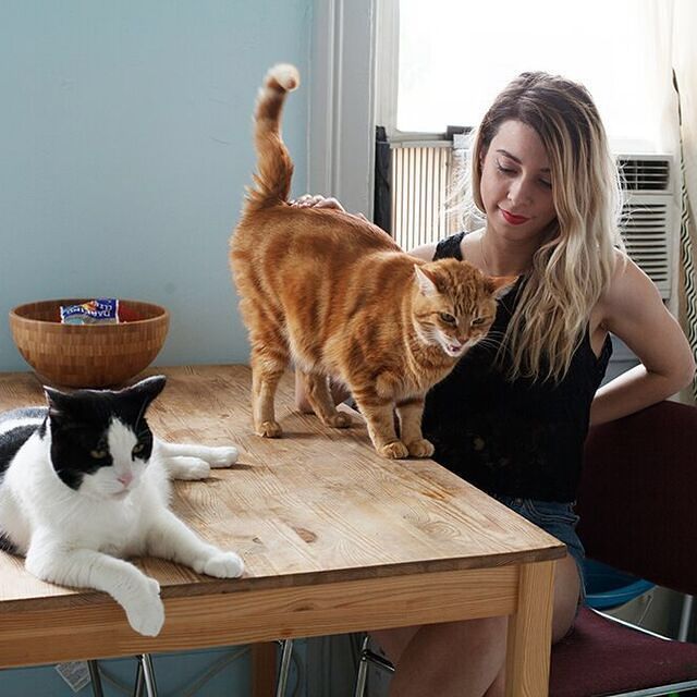 Кошки и их хозяйки. Фото: instagram.com/girlsandtheircats