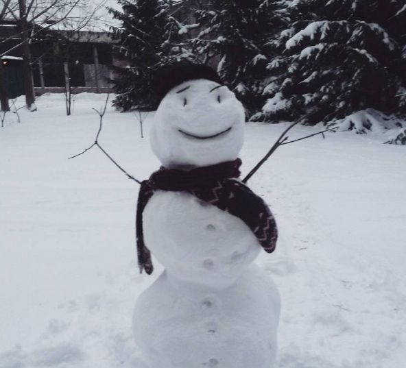 Снеговик в шарфике. Фото: instagram.com/beluginserge