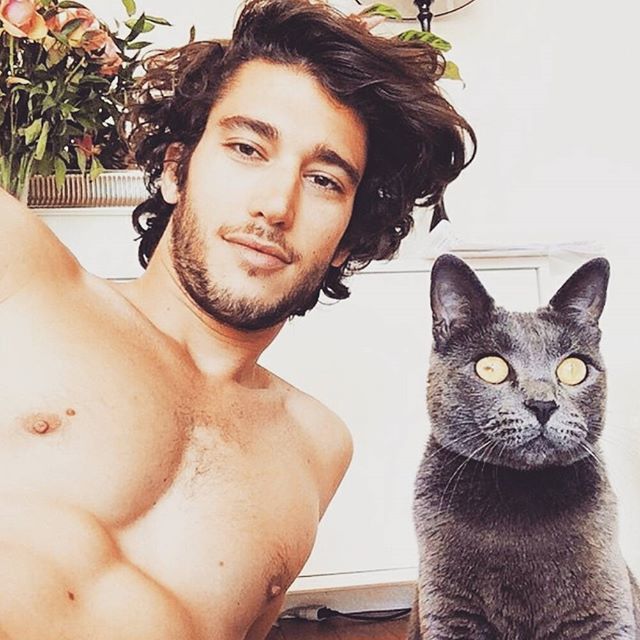<p>Чоловіки і їх коти Фото: instagram.com/hotdudeswithkittens</p>