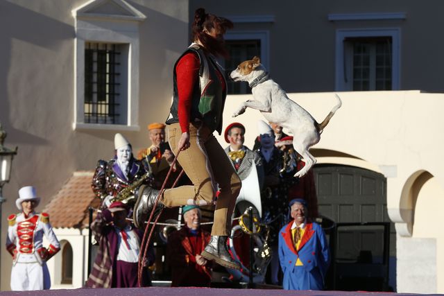 У Монако проходить 40-й Міжнародний фестиваль циркового мистецтва. Створений в 1974 році князем Монако Реньє III, фестиваль у Монте-Карло став найбільшою цирковою подією в світі, що збирає кращих артистів. Фото: AFP