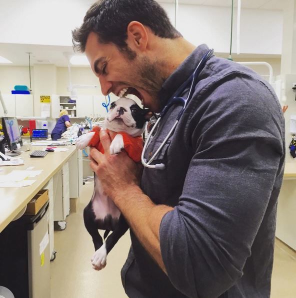 <p>Ветеринара полюбили за його м'язи і любов до тварин.&nbsp;Фото: instagram/dr.evanantin</p>