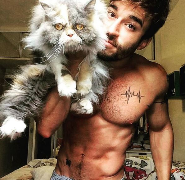Милые снимки нравятся поклонникам котиков. Фото: instagram/hotdudeswithkittens