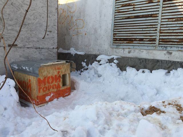 Жилье для пушистых одесситов. Фото: moy-gorod.od.ua, Р.Сегедский