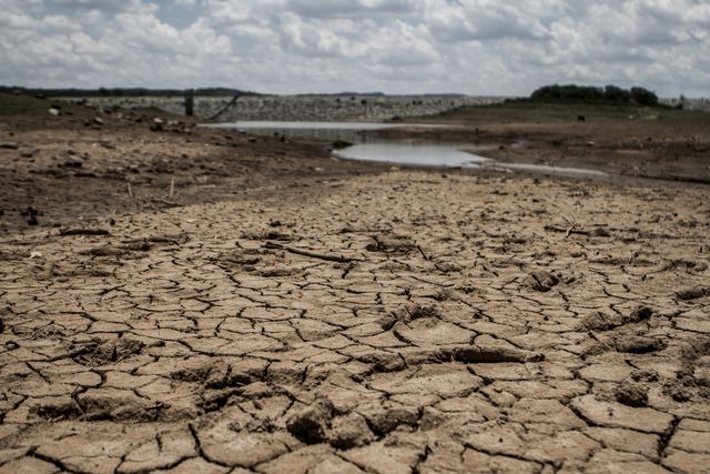 Президент Зімбабве Роберт Мугабе оголосив про введення надзвичайного стану в декількох регіонах країни, які постраждали від сильної посухи. Фото: AFP