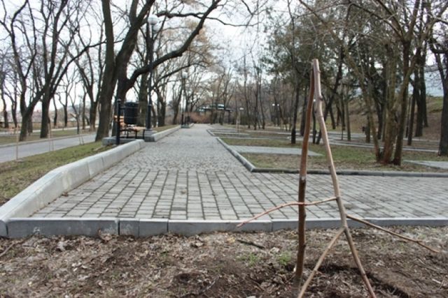 В Одессе снова поломали деревья, высаженные в память о Небесной сотне. Фото: dumskaya.net
