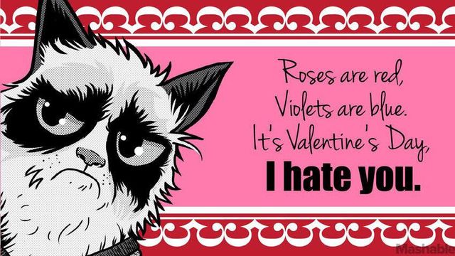 Розы красные. Фиалки фиолетовые. Это День святого Валентина, я тебя ненавижу. Фото: facebook/TheOfficialGrumpyCat