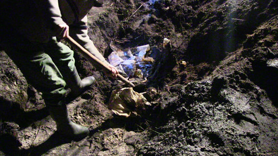 Выкопали покойника. Фото: rv.npu.gov.ua