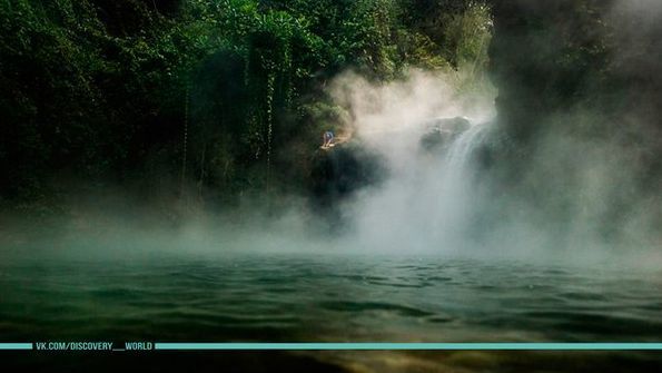 <p>В амазонських джунглях знайшли річку, в якій можна зваритися заживо</p>