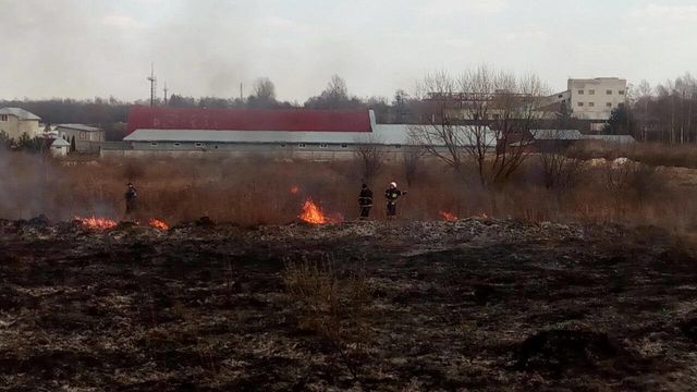 Огонь охватил сухую траву. Фото: патрульная полиция Львова