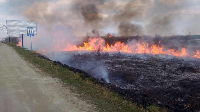 Огонь охватил сухую траву. Фото: патрульная полиция Львова