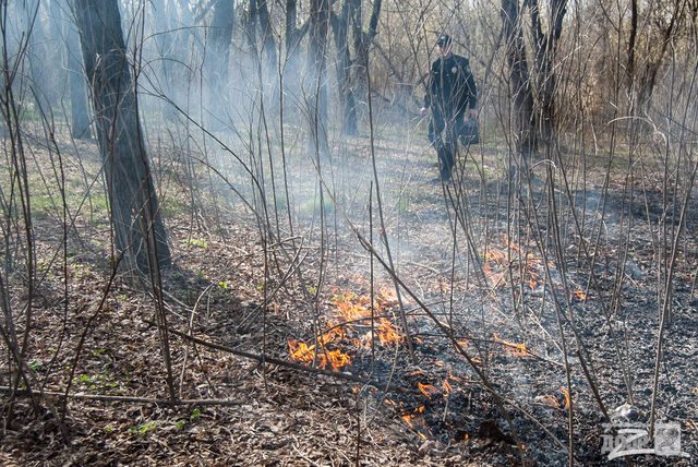 Суровый харьковский коп потушил пожар в парке ногами. Фото: dozor.kharkov.ua