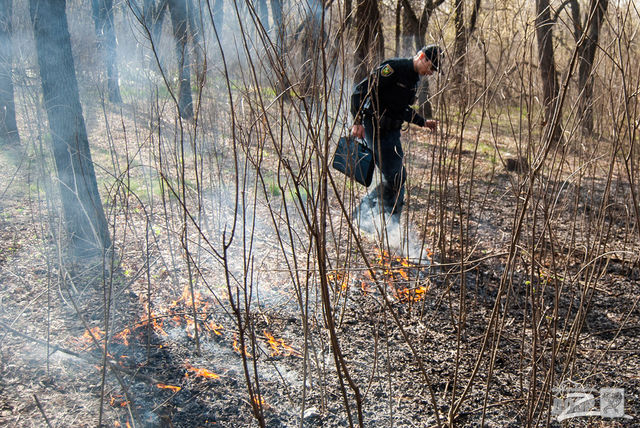 Суровый харьковский коп потушил пожар в парке ногами. Фото: dozor.kharkov.ua