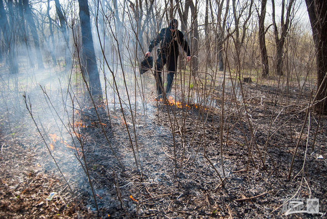<p>Суворий харківський коп загасив пожежу в парку ногами. Фото: dozor.kharkov.ua</p>