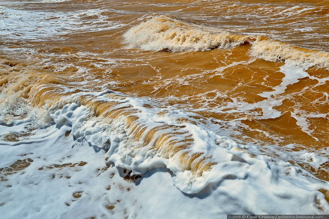 Черное море пожелтело. Фото: Юрий Югансон