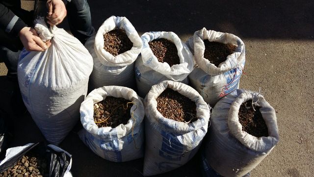 На складах в Ровно  правоохранители изъяли  более 400 кг янтаря