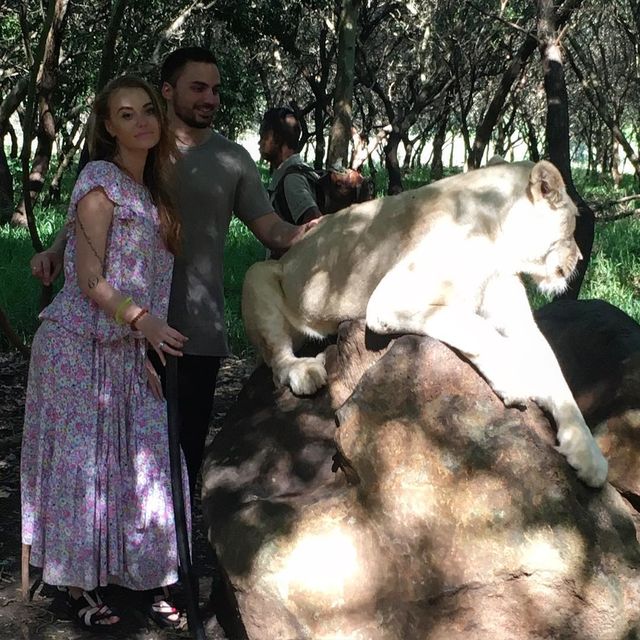 Слава Каминская подружилась со львами на острове Маврикий. Фото: Instagram