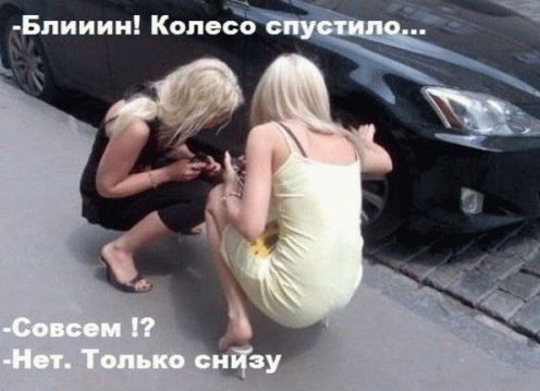 Блондинки часто становятся главными героинями шуток. Фото: iz.com.ua