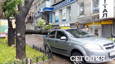 <p>Дерево впало на автомобілі.&nbsp;Фото: Д.Сидоровська</p>