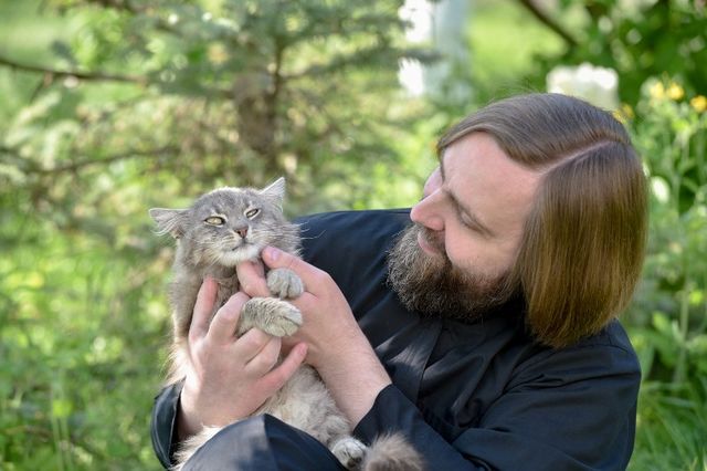Котам живется хорошо в монастыре. Фото: Сергей Рыжков
