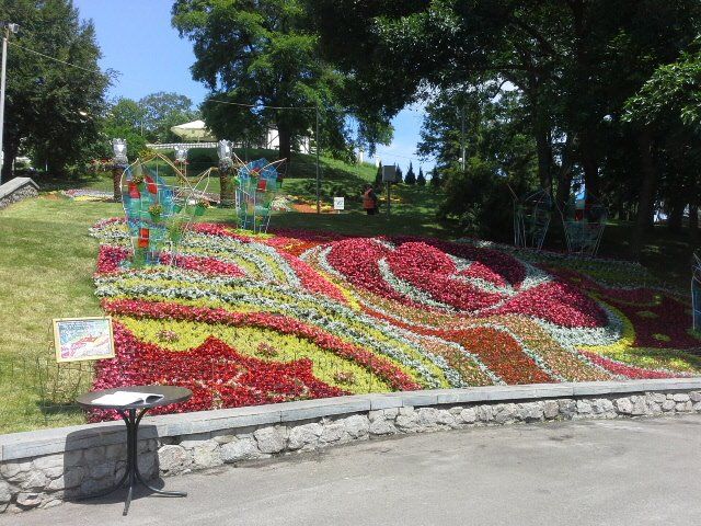 На Певческом поле в Киеве пройдет выставка цветов. Фото: facebook.com/zelenbud
