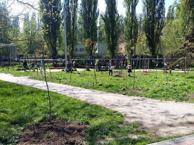Сквер Вильямса. Тут 45 саженцев: мыльное, уксусное и иудино дерево. Фото: tvoygorod.com.ua