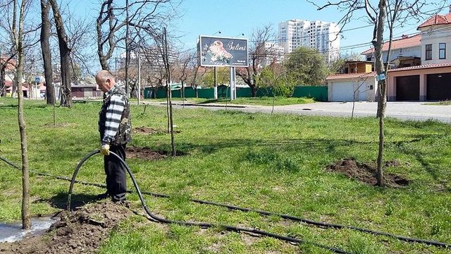 На 9-й Фонтана. Одесситы высаживают деревья с именными табличками, а после — заботятся о них. Фото: tvoygorod.com.ua
