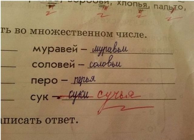 Дети умеют поднять настроение безобидными ошибками. Фото: Adme.ru