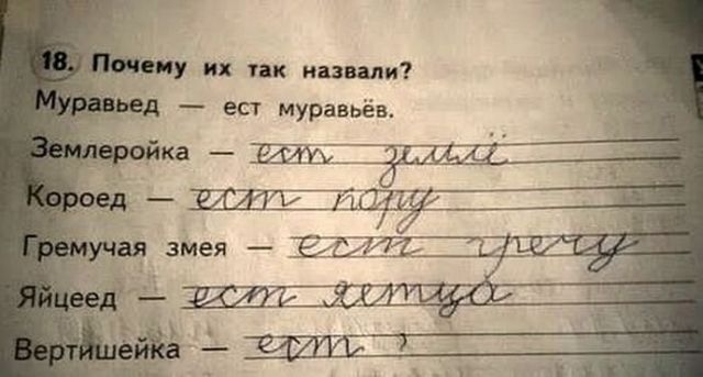 Дети умеют поднять настроение безобидными ошибками. Фото: Adme.ru