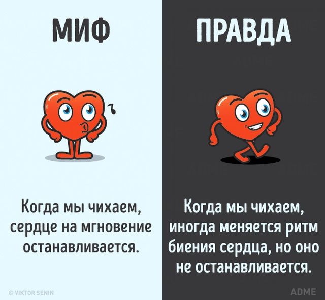 Народные заблуждения о нас с вами иногда не просто странные, но даже вредные. Фото: adme.ru