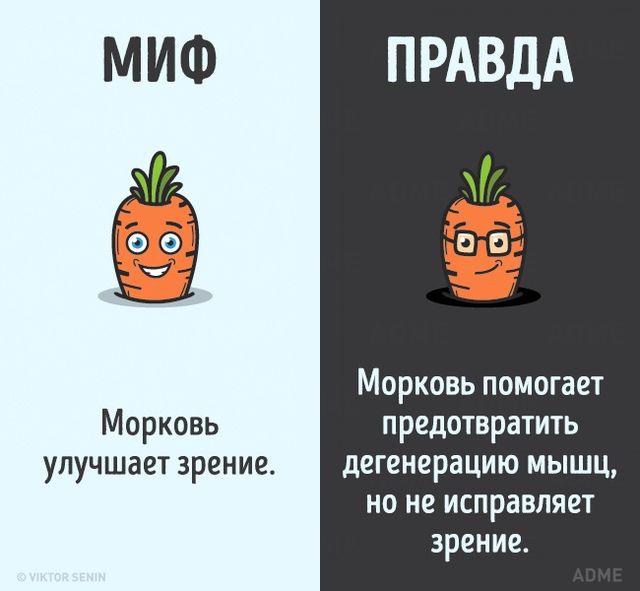 Народные заблуждения о нас с вами иногда не просто странные, но даже вредные. Фото: adme.ru