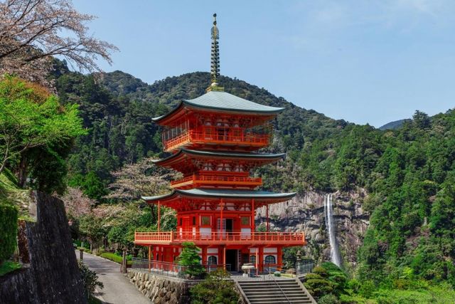 Японська компанія Kongō Gumi, в основному займалася будівництвом храмів буддистів, була найстаршою безперервно існуючою фірмою в світі. Вона безупинно функціонувала майже півтора тисячоліття – з 578 року! На жаль, через низку помилок в 2006 