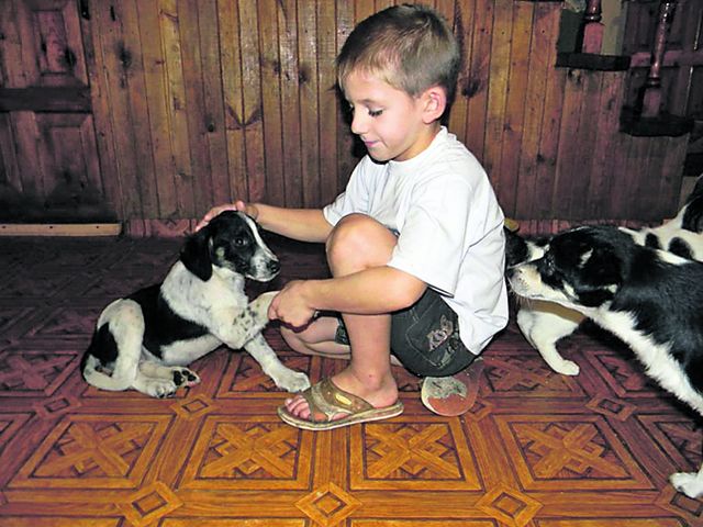 Друзі. У дитячому будинку допомагають тваринам. Фото: forumodua.com