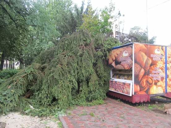 <p>На заході України вирував ураган. Фото: mykolaivmr.lviv.ua, rogatyn.info</p>
