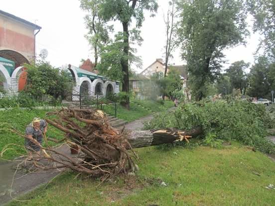 <p>На заході України вирував ураган. Фото: mykolaivmr.lviv.ua, rogatyn.info</p>